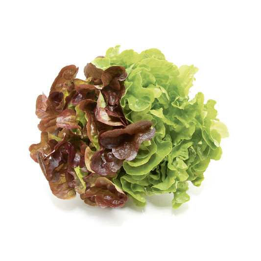 METRO Chef Salanova Saláta 1 db