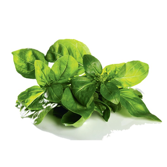 METRO Chef Vágott Bazsalikom Zacskós 100 g