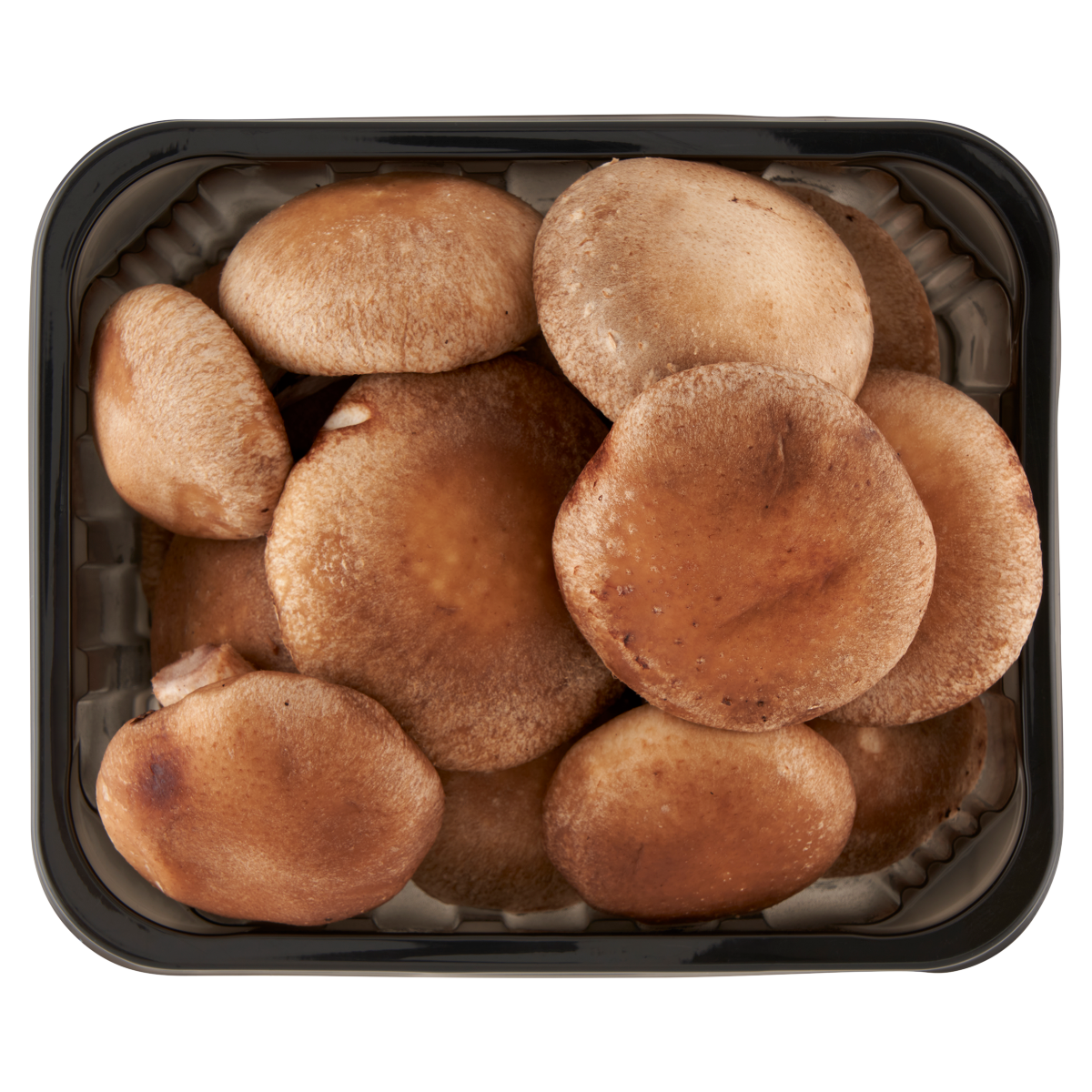 Fungi Exotica Shiitake Gomba 100 g