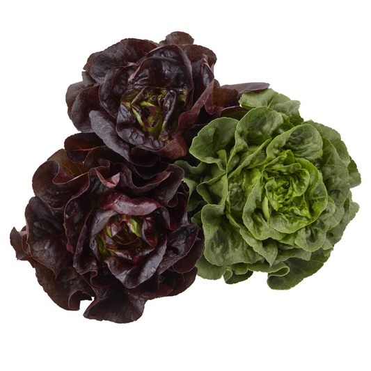 METRO Chef Szívsaláta Mix 3 db