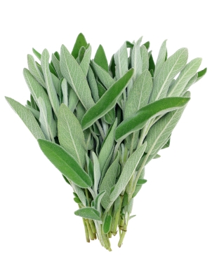 METRO Chef Vágott Zsálya Dobozos 20 g