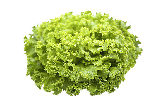 METRO Chef Batávia Saláta 1 db