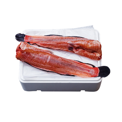 Friss Nyúzott Afrikai Harcsa Törzs