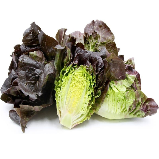 METRO Chef lollo saláta 1 db