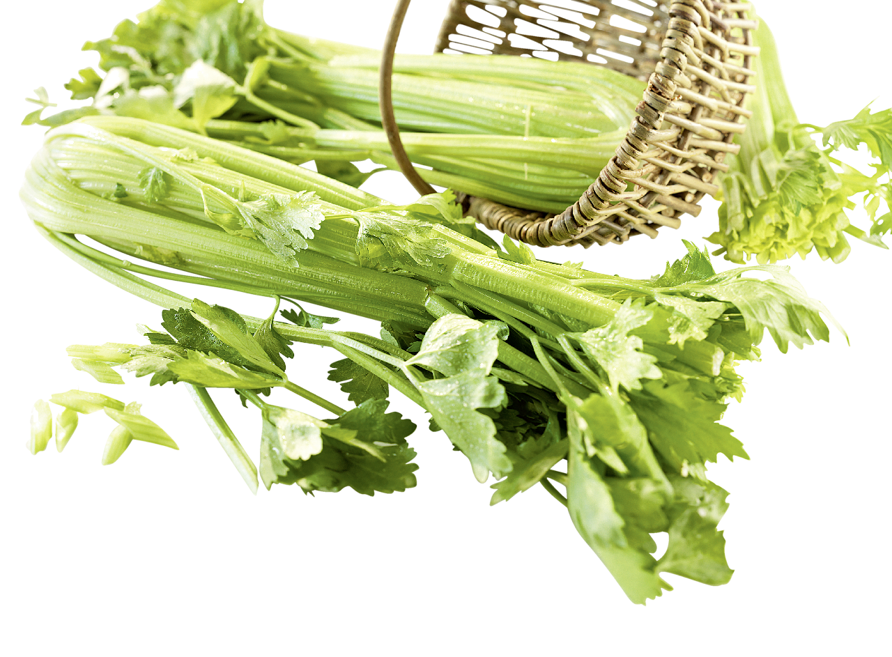 Zellerszár 1 db 500 g