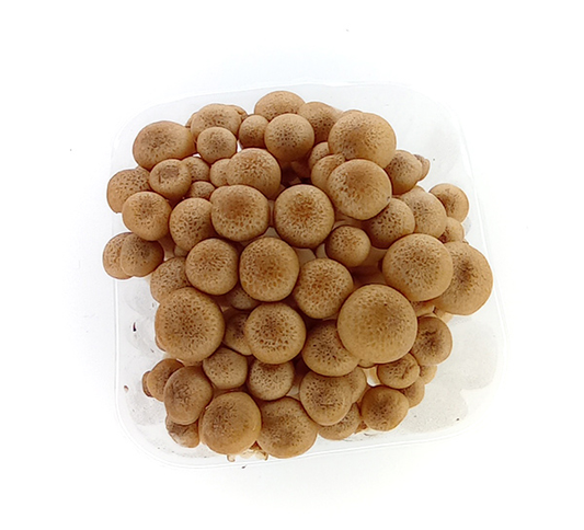 Fungi Exotica Barna Shimejii Gomba 150 g