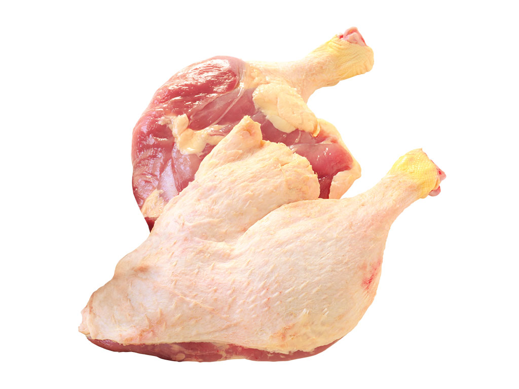 SZATMÁRIKACSA Fagyasztott Hízott Kacsacomb