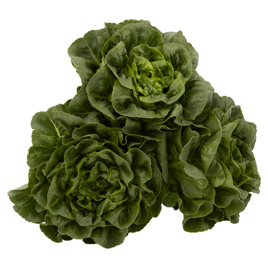 METRO Chef zöld szív saláta 3 db