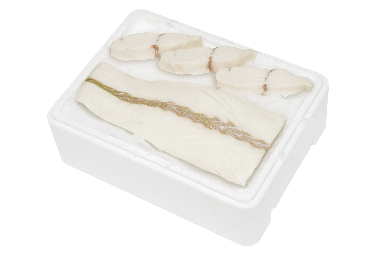 Kígyómakréla (Lepidocybium flavobrunneum)